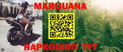 сатива Бузулук