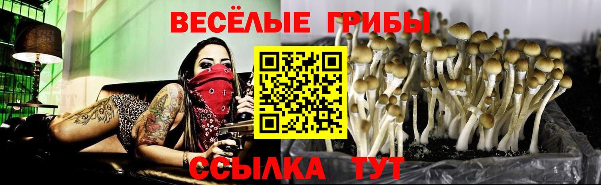 Михайловка  Галлюциногенные грибы Magic Shrooms  что такое наркотик  Вход с VPN 
