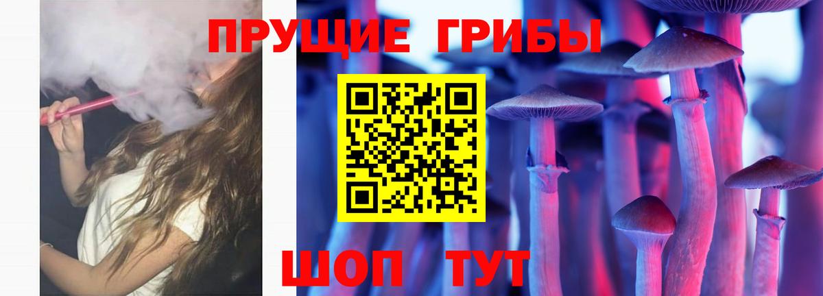 Псилоцибиновые грибы мухоморы Михайловка